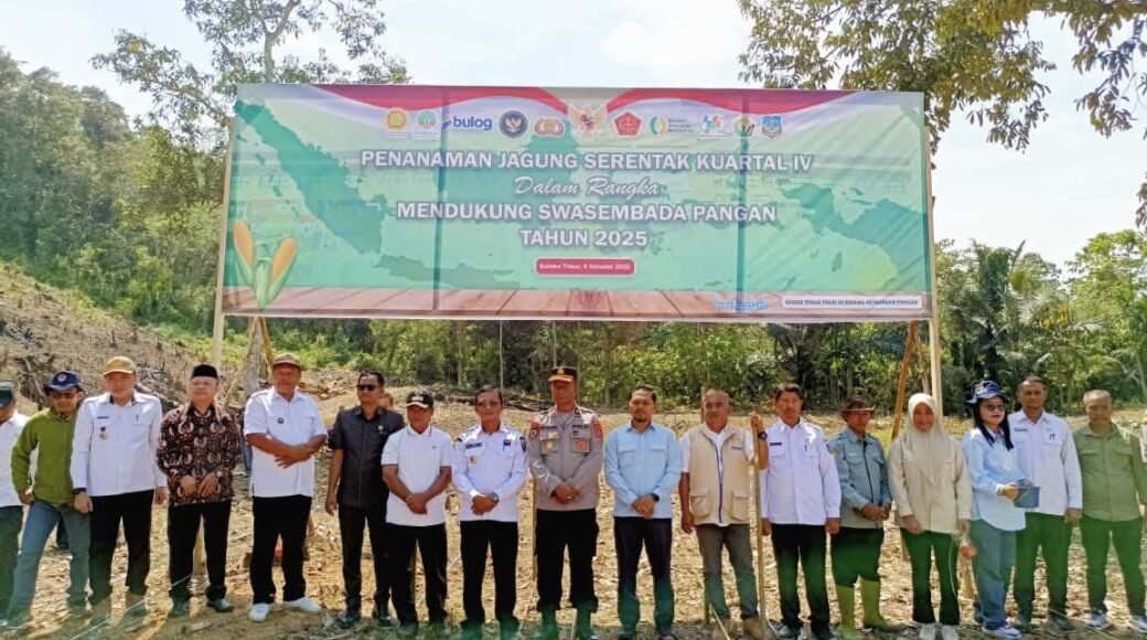 Kolaka Timur