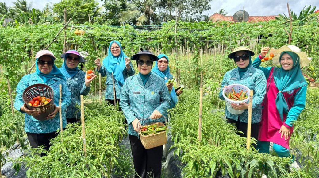 FB_IMG_1763520278175 PKK Koltim