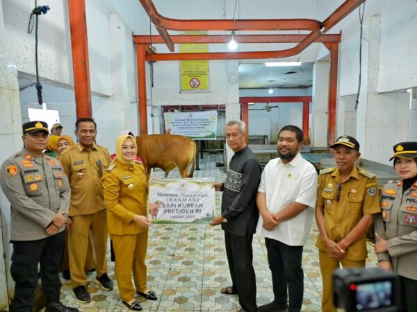 Sapi_Kurban_Presiden_Prabowo
