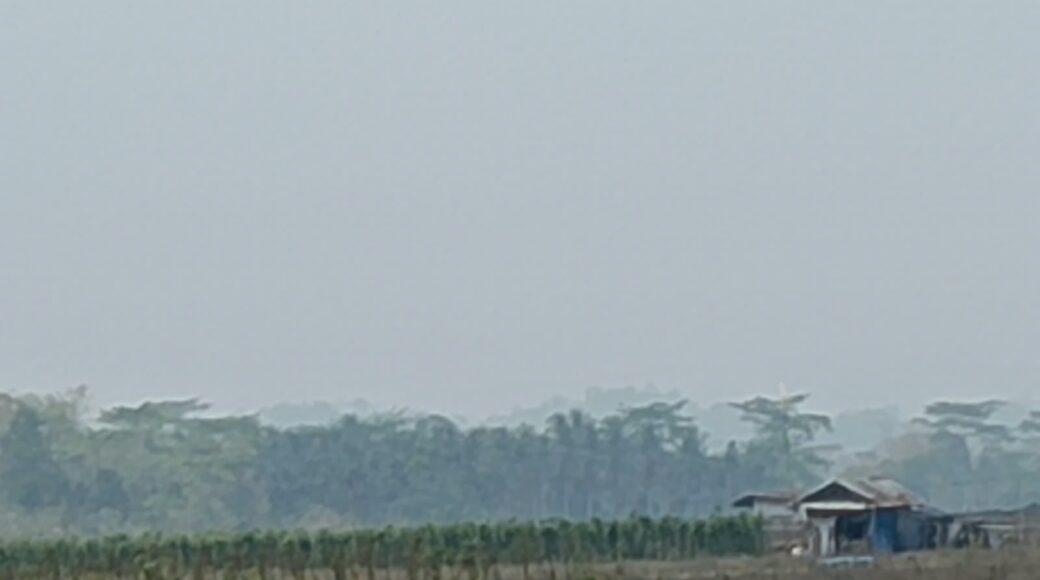 IMG-20261012-WA0044.