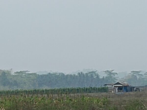 IMG-20261012-WA0044.