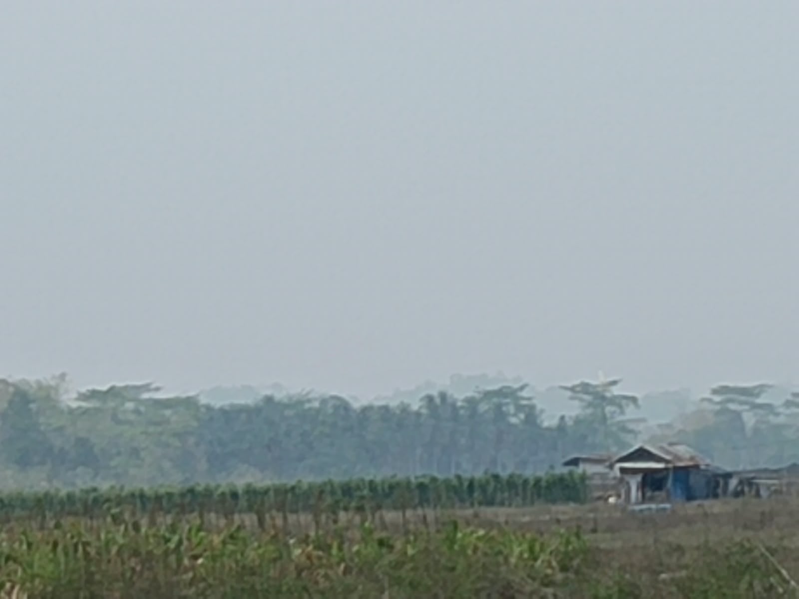 IMG-20261012-WA0044.