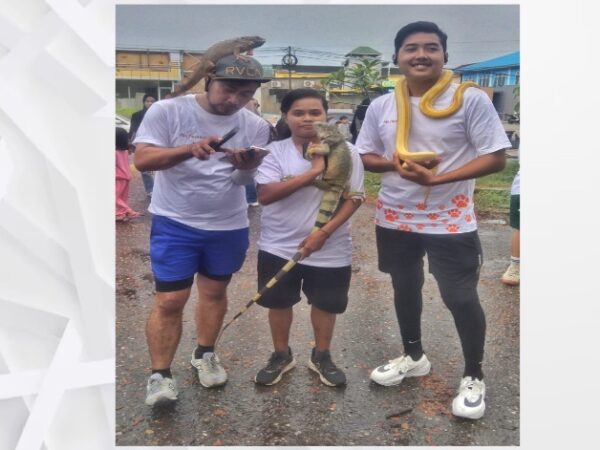 Pet Festival 2025