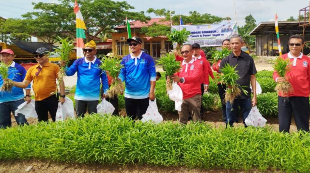 WhatsApp-Image-2025-11-07-at-11.26.19-1-750x454 Panen Kangkung