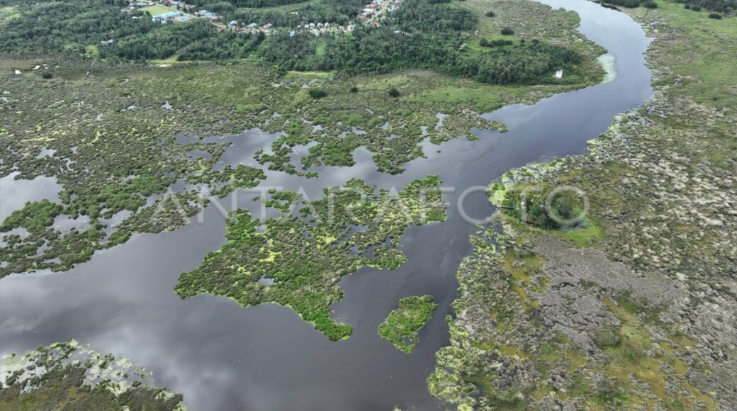 taman-nasional-rawa-aopa-watumohai-
